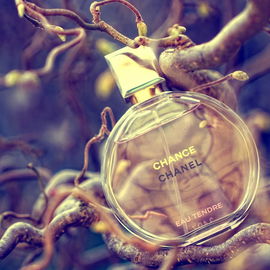 Chance Eau Tendre (Eau de Parfum) - Chanel