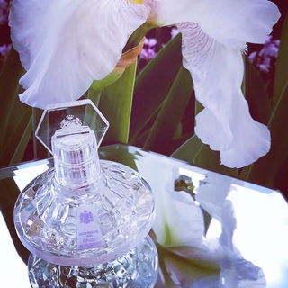 White Irissime - Jacques Fath