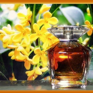 Badgley Mischka (2006) (Eau de Parfum) - Badgley Mischka