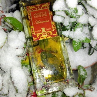 Avicenna - Annette Neuffer