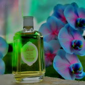 Langsam kommt es ans Licht:die Blüten sind aus dem Weltall;) (von Gandix)