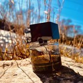 Sonnentagstarnung 🌞 (von Theris)