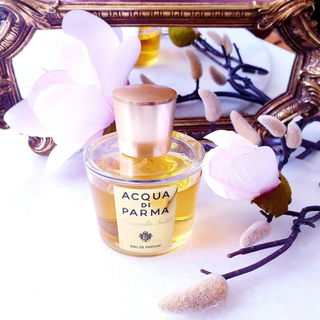 Magnolia Nobile (Eau de Parfum) - Acqua di Parma