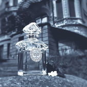 .... zwischen Traum und Tag ..... (von IrisNobile)