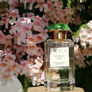 Waterlily Sun - Aerin