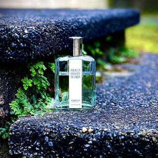 …📷🌍 Thank you. Danke schön. Merci beaucoup. Muchas gracias. Dōmo arigatō gozaimasu 💐…