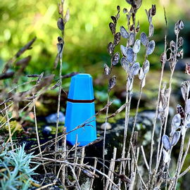 …📷🌍 Thank you. Danke schön. Merci beaucoup. Muchas gracias. Dōmo arigatō gozaimasu 💐…