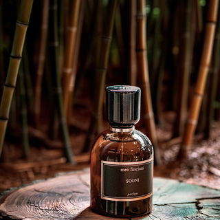 Sogni von Meo Fusciuni