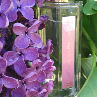 La Chasse aux Papillons (Eau de Toilette) by L'Artisan Parfumeur