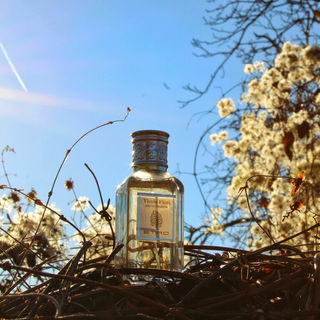 Vicolo Fiori (Eau de Toilette) - Etro