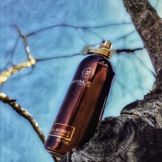 Full Incense - Montale