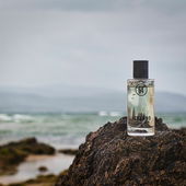 Nicht Island, sondern der Mull of Kintyre, passt aber auch dort super - vielen Dank für eure Kommentare (by DrHildegard)