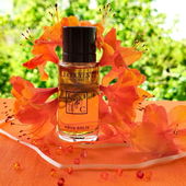 Fröhliche Farben für Euch in der Hoffnung, dass es nach den Eisheiligen endlich mehr Sonne gibt! 🤗🧡💚    Vielen lieben Dank für Eure Besuche und Anmerkungen! 🤗🧡💚 (von Lavendel18)