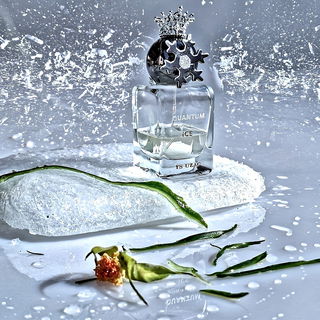 Quantum Charge In An Ice Palace