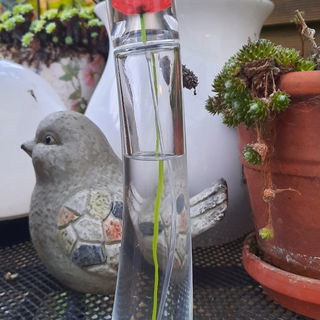 Flower by Kenzo (Eau de Toilette) von Kenzo