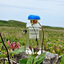 ***Im schicken Glasgewand macht sich das mediterrane Geißblatt auf zu seinen wilden nordfriesischen Verwandten. Die Bienchen 🐝 fliegen drauf und laben sich an der blumig-süßen Zitrusfrische. Lieben Dank fürs Vorbeischauen 🥰***