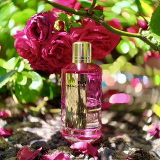 Roses Greedy - Mancera