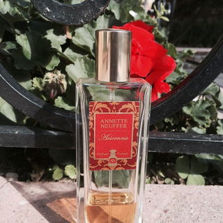 Avicenna - Annette Neuffer