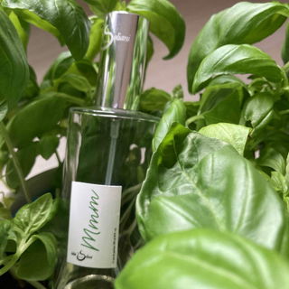 Mmm - Hilde Soliani Profumi