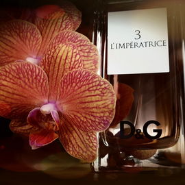 L'Impératrice - Dolce & Gabbana