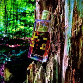 …📷🌍 Thank you. Danke schön. Merci beaucoup. Muchas gracias. Dōmo arigatō gozaimasu 💐… (von Kokusai)