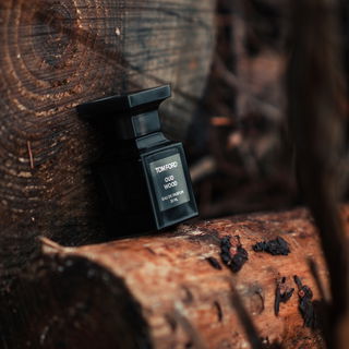 the scent of the forest...