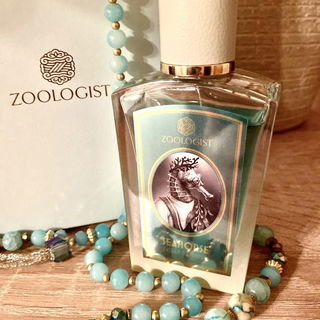 Seahorse Limited Edition - Zoologist