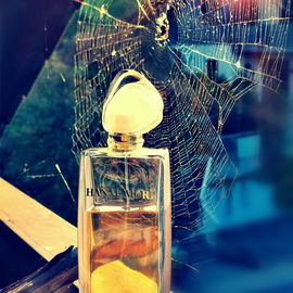Thekla hat ihr seidiges Netz gespannt und hofft auf fette Beute 🕸️🦋🕷️    ich danke euch für euren Fotobesuch und die schönen Kommentare 🖤