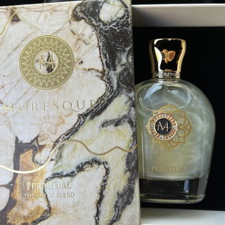 Vinegia 21 - The Merchant Of Venice