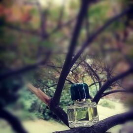 Coriandre (Eau de Toilette) - Jean Couturier