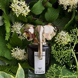 The Omniscient Mister Thompson - Penhaligon's