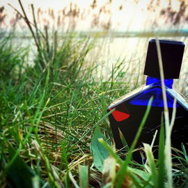 Au Coeur de la Prairie