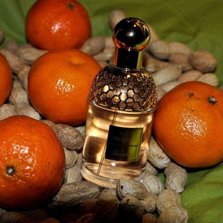 Aqua Allegoria Flora Nymphea von Guerlain