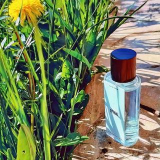 Amalfi Sunray (Eau de Parfum) / N°04 Amalfi Sunray - Zara