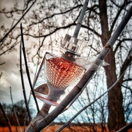 nature ...