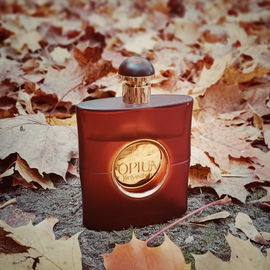 Opium (2009) (Eau de Toilette) - Yves Saint Laurent
