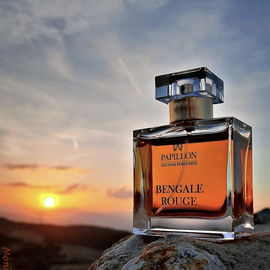 Burning and sensual sun of Bengale Rouge❤️‍🔥