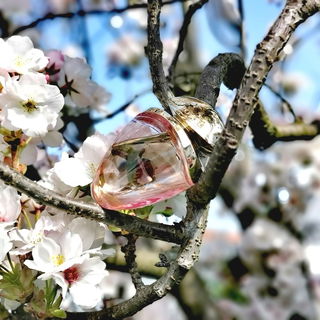 Rose Essentielle (Eau de Parfum) - Bvlgari