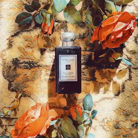 Velvet Rose & Oud (Cologne Intense) - Jo Malone