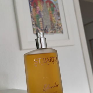 Islander von Ligne St Barth