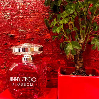 Blossom - Jimmy Choo