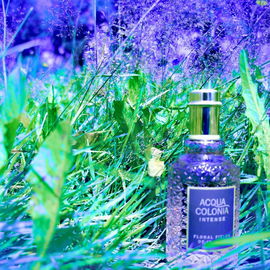 Floral Fields of Ireland - 4711