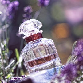 Mon Guerlain (Eau de Parfum Intense) - Guerlain