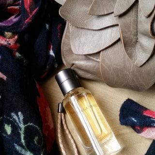 Bottega Veneta (Eau de Parfum) by Bottega Veneta