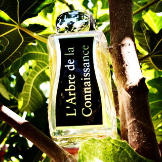 L'Arbre de la Connaissance von Jovoy