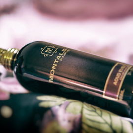 Aoud Ever - Montale