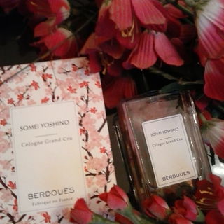 Somei Yoshino - Berdoues