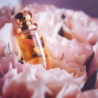 So Pretty (Eau de Parfum) - Cartier