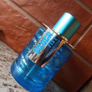 Silver Fist Warrior von Création Lamis