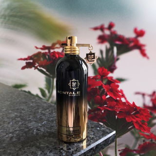 So Amber by Montale